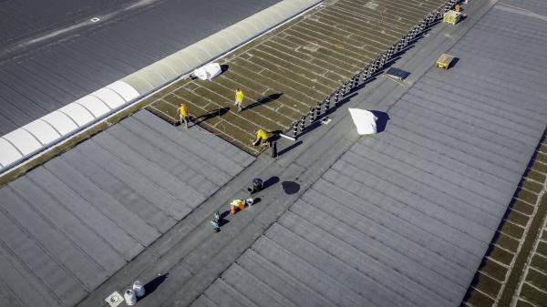 Elegast plaatst 50.000 m2 nieuwe waterdichting bij Profel in Pelt